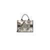 Medium Dior Book Tote