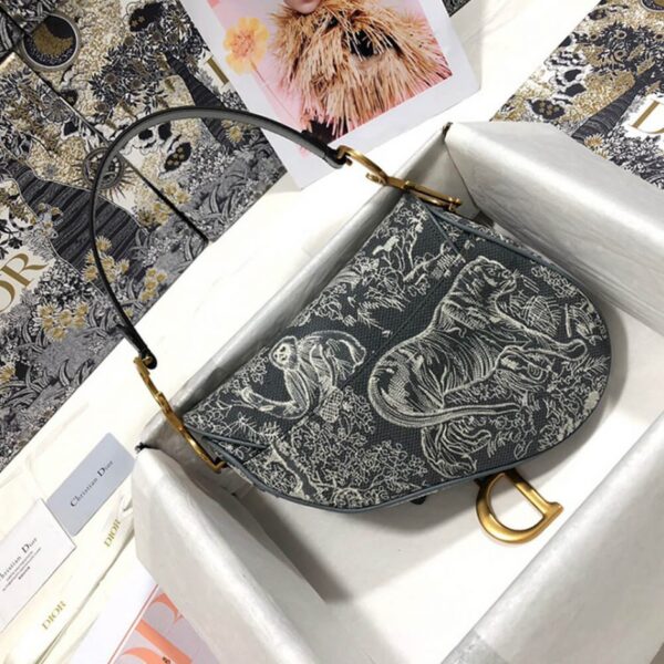 Dior SADDLE BAG - 图片 4